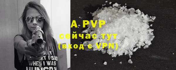 гашик Белокуриха