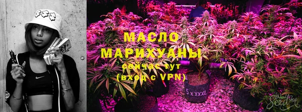 гашик Белокуриха