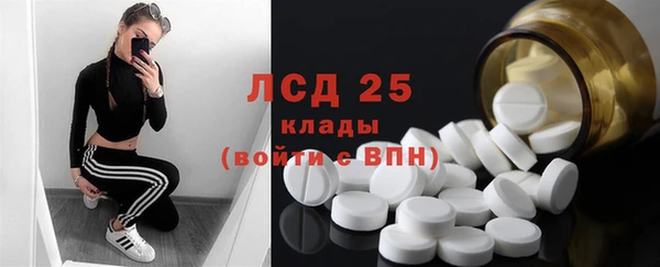 гашик Белокуриха